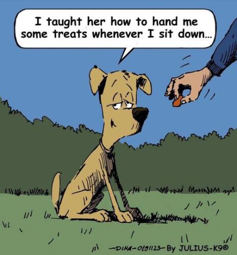 301735786_512788324110029_8463798976193527806_n