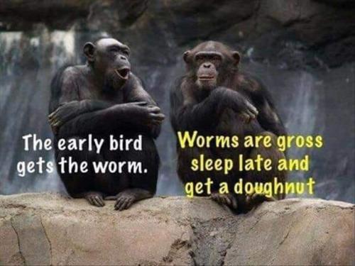 308991702_5570087196360508_7938013247058137920_n