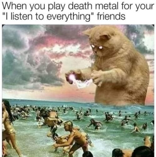 308203497_3308361996105626_3582110264988376609_n