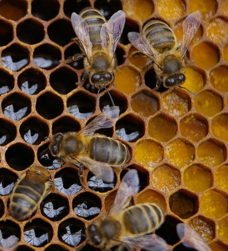 tumblr_n80866VBnY1r4litgo1_500