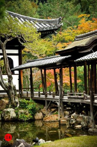 305234720_448913747258807_6595411079479325906_n