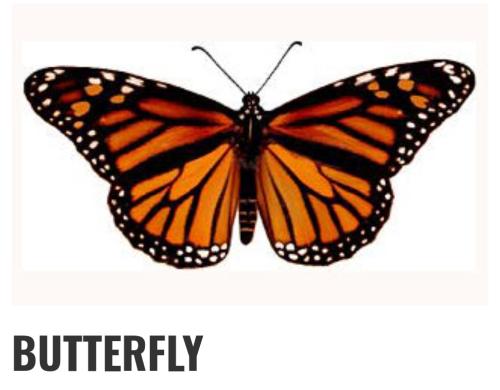 Screenshot_2022-09-20-18-09-10-52_40deb401b9ffe8e1df2f1cc5ba480b12