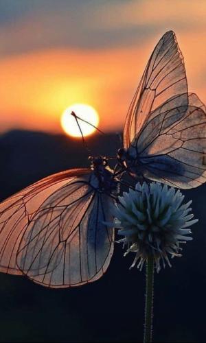 tumblr_49e0cbd5e59aae2279963d206022df55_f3a642c3_640