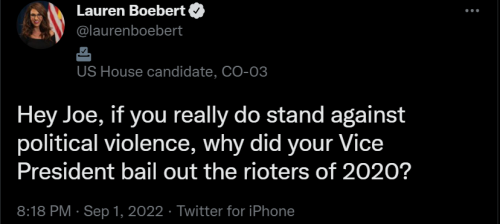 Biden Violence 1