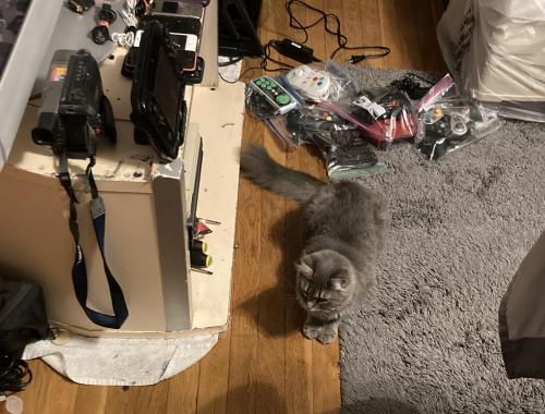 11:29:32 GMT-0400 (Eastern Daylight Time).image