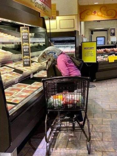FB_IMG_1663253197739