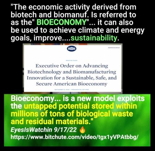 Screenshot_2022-09-20-09-01-52-602_com.google.android.apps.photos