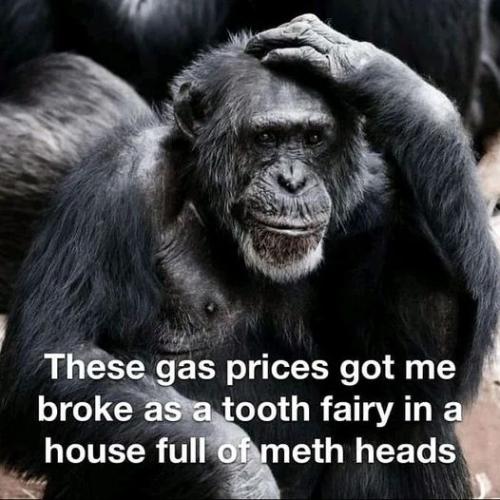 305739739_5601824926530193_5132272011462271083_n