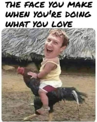 FB_IMG_1663769052849