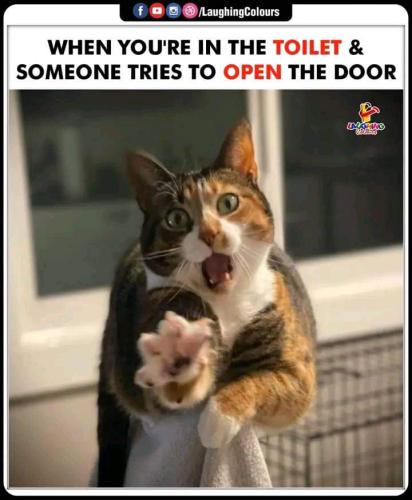 FB_IMG_1663700932764