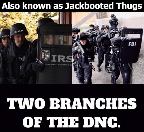 Jackbooted thugs of the DNC