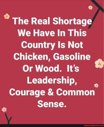 1a2a0354-0713-4d0d-b4a1-f5b047aa991b