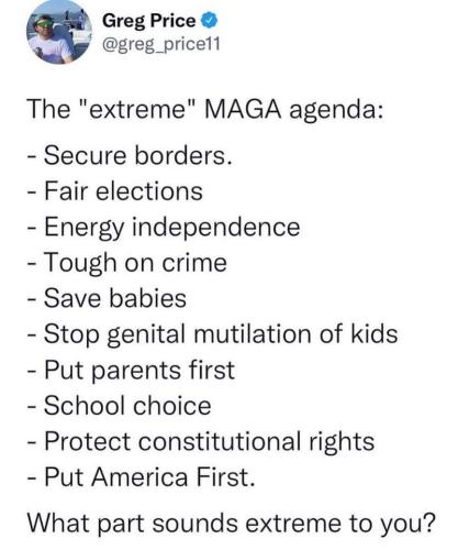 MAGA AGENDA 1