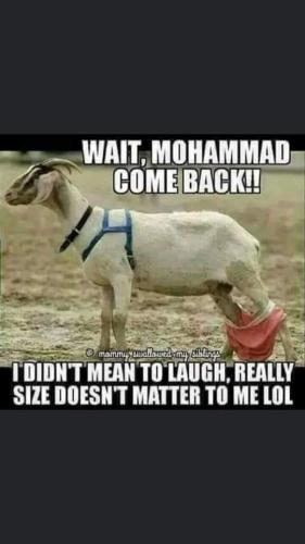 FB_IMG_1663337414372