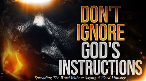 306687861_768618797582195_9105019156919622307_n