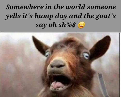 FB_IMG_1663269159009