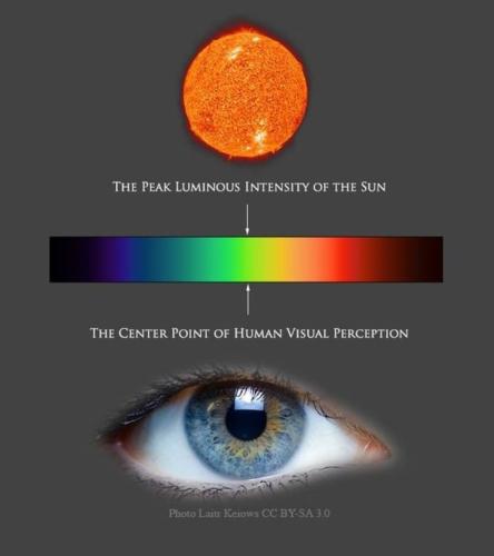 Screenshot_20220718-121133_Instagram