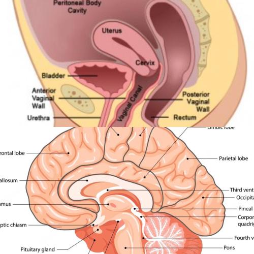 IMG_20220719_075857_396