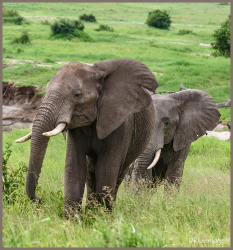 306124602_662818018579553_6548859253795984827_n