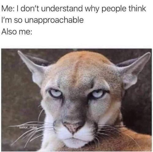 FB_IMG_1663618466647