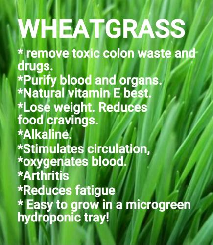 Screenshot_2022-09-14-11-51-35-985_cn.wps.moffice_eng