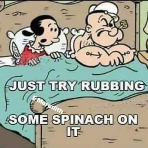 toon spinache