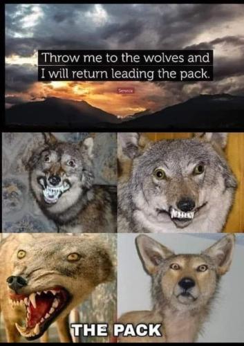 FB_IMG_1663003857022