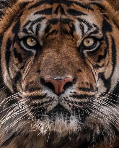 307540317_640338434128744_5453232380874154192_n