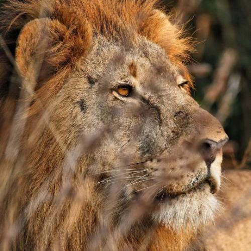 tumblr_b38565f1872b1d332567356d5eb7cd1b_d1164bf7_540