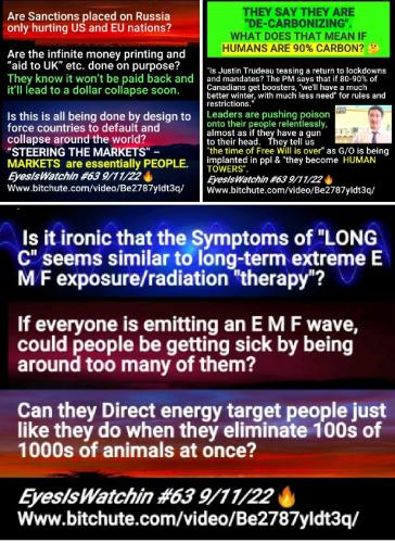 Screenshot_2022-09-16-09-15-57-320_com.google.android.apps.photos