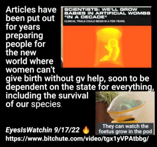 Screenshot_2022-09-20-08-45-26-390_com.google.android.apps.photos