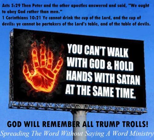 12036800_943645029050962_2395494353876589967_n