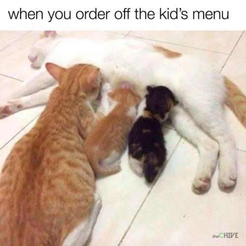 5b604541cf3cf1645847b1bf3a8327c2