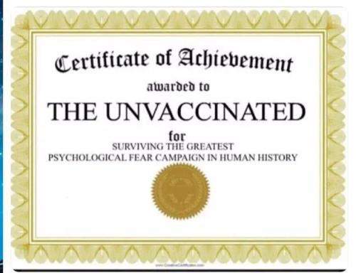 photo_2022-08-30_10-42-41