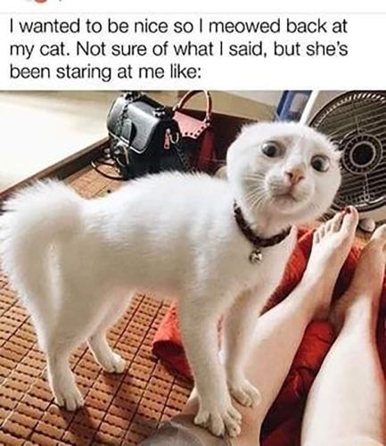 FB_IMG_1663619316588
