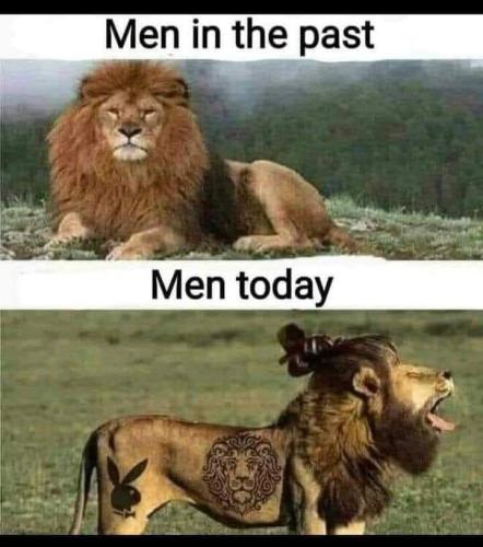 FB_IMG_1663957444557