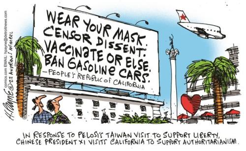 payn_c19207620220802120100