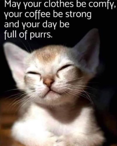 307972632_5783671131652003_7819683861728242463_n