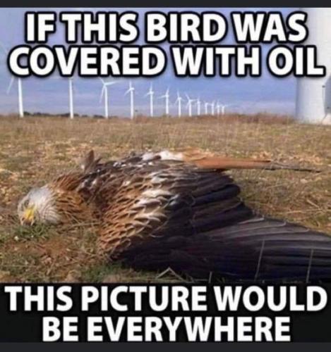 FB_IMG_1663213976162