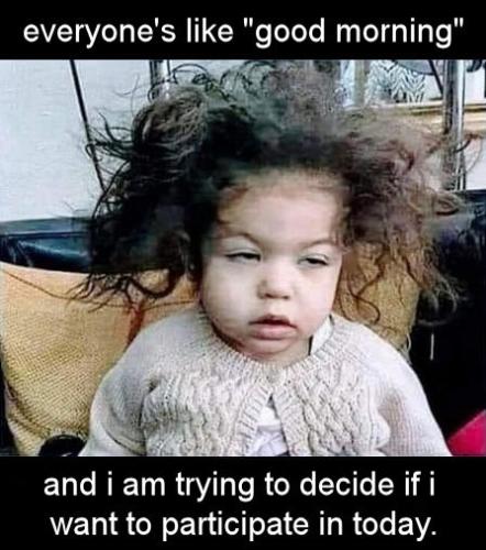 everyones like good morning