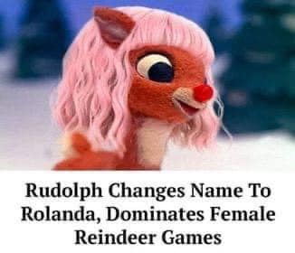 307683991_634369528367891_3734765880163030299_n