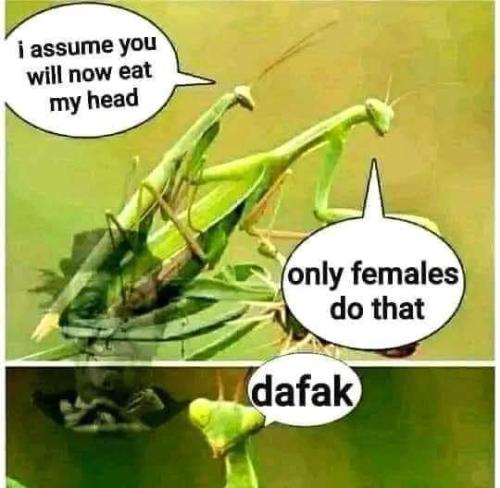 FB_IMG_1662479174153