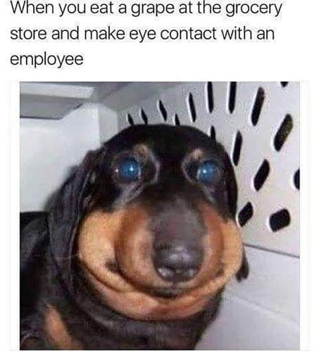 FB_IMG_1663078796435