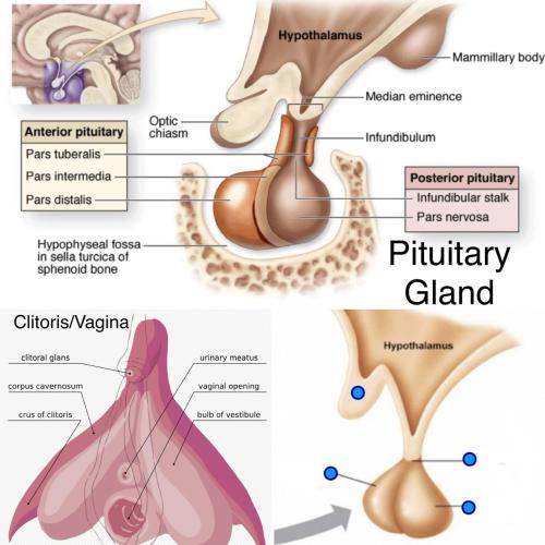 IMG_20220719_075855_558