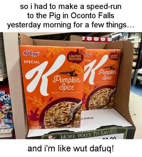 pumpkin spice26