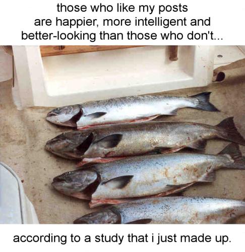 those who like my posts are happier more intelligent and better-looking than those who dont according to a study i made up