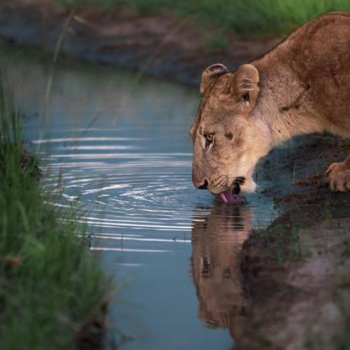 tumblr_911f91f091f6bbb79183b86105492212_e7f44fc8_540