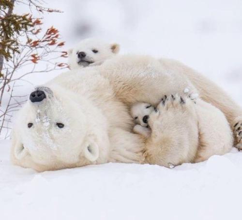 tumblr_pwstekKuXf1w2xzk8o1_540