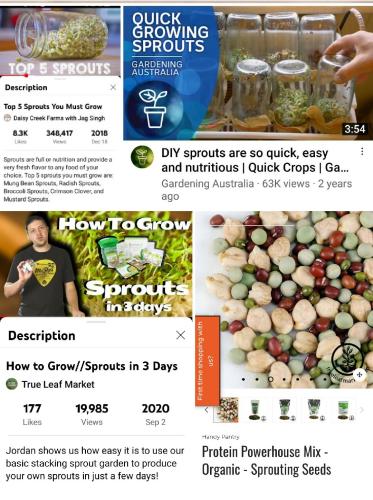 Screenshot_2022-09-13-08-27-45-906_com.google.android.apps.photos