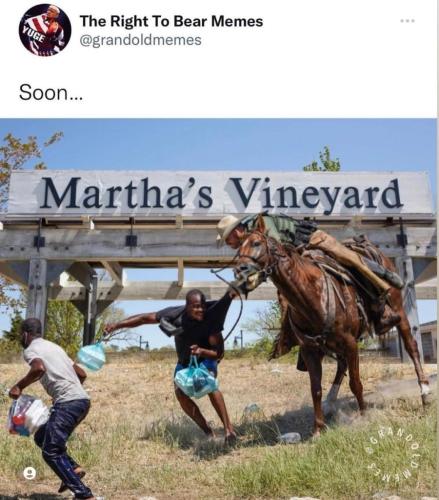 marthas vineyard border whip